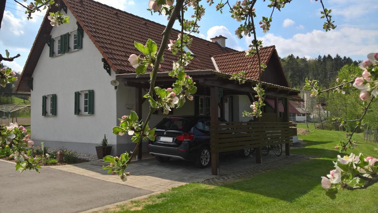 Ferienhaus Am Bach Kirchberg an der Raab Exterior foto
